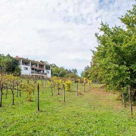 Apartamento Quinta Da Quinta Vieira do Minho Exterior foto